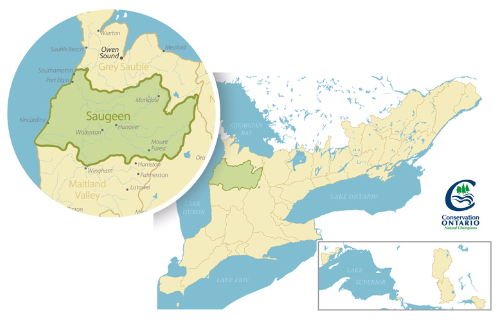 Map of Saugeen Conservation Watershed