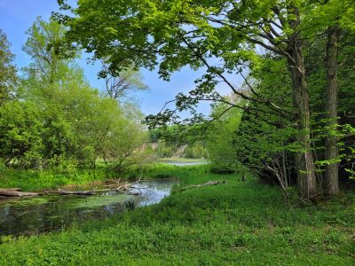 Saugeen Bluffs