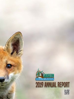 2019 Annual Report