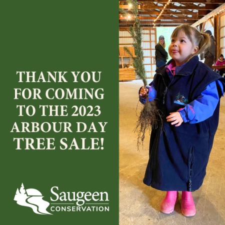 Little girl wearing oversize SVCA vest holds small tree.