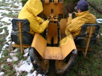 Forest Marking Photo