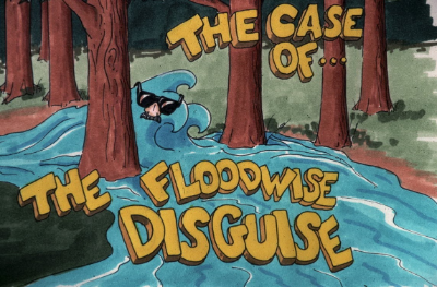 Floodwise Disguise Picture