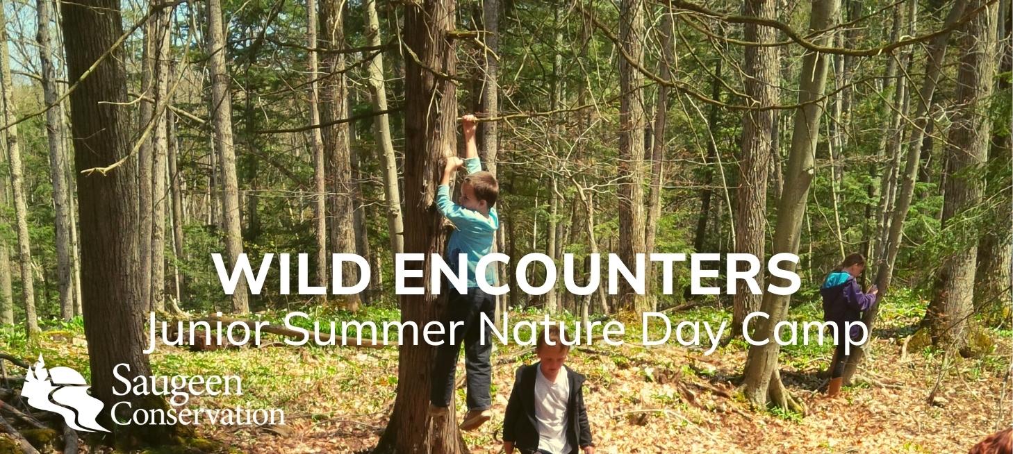 Wild Encounters Junior Summer Nature Day Camp