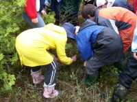 Children working with soil photo