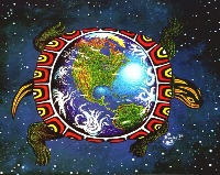 Photo of turtle island illustration