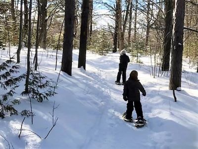 Children snowshoeing 