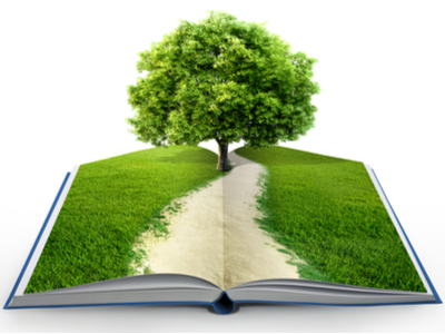 book with tree as ground photo