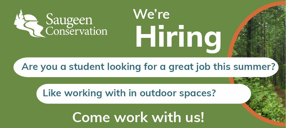We're Hiring! We are looking for student park maintenance staff at Sulphur Spring Conservation Area.