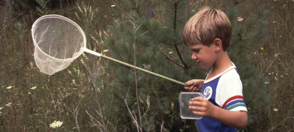Boy with butterfly net