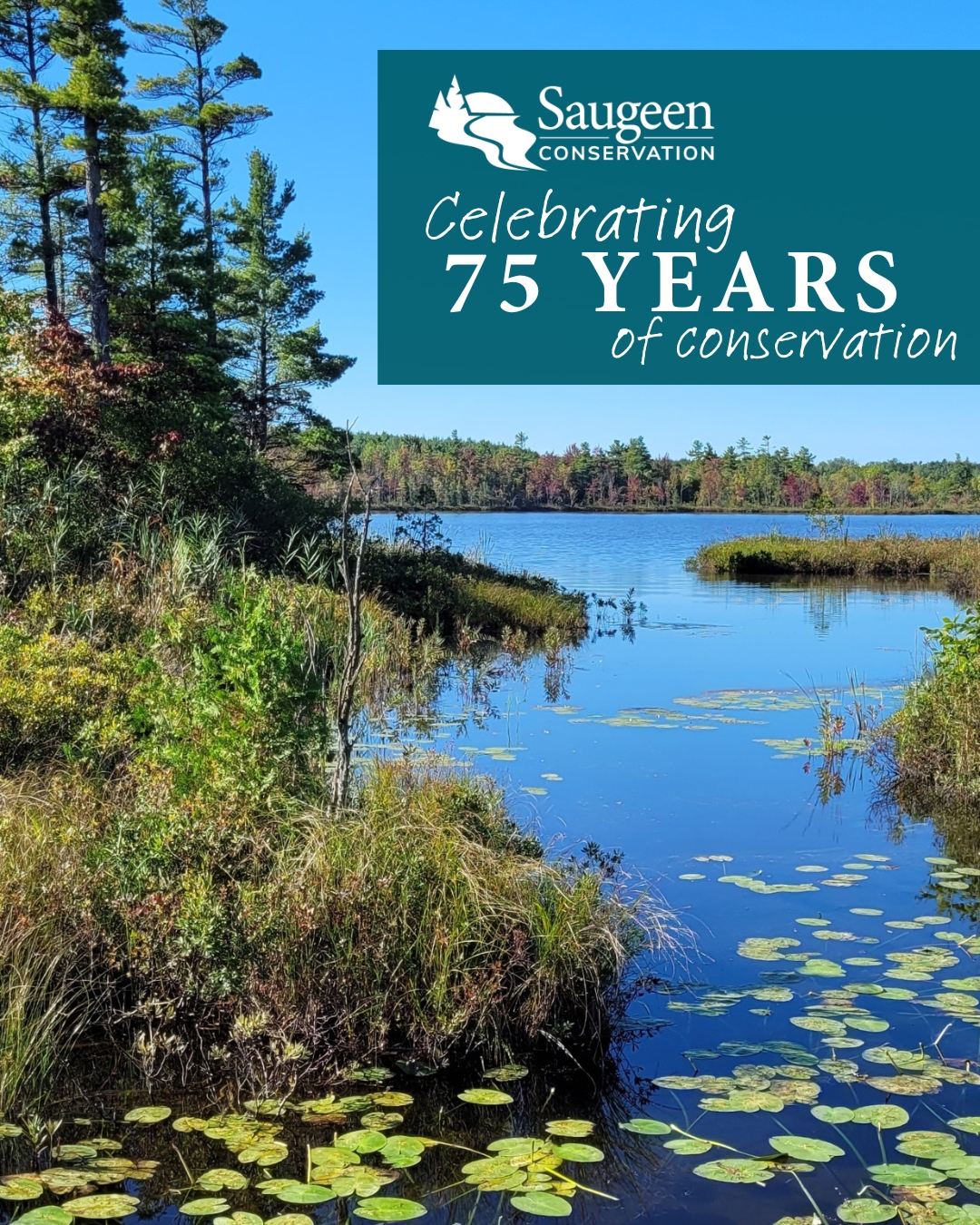 Bells Lake wetland