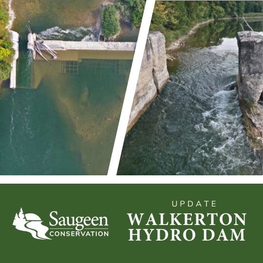 Walkerton Hydro Dam Photos