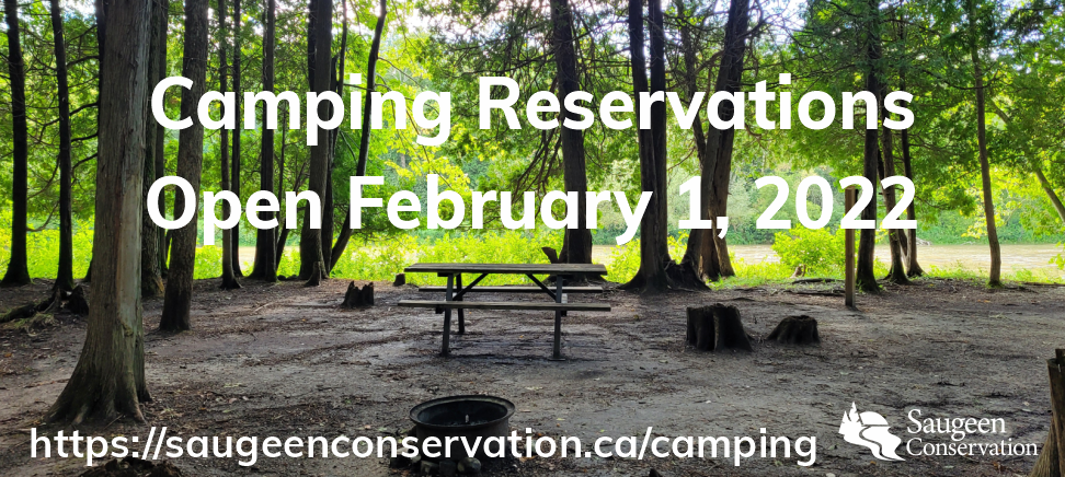 Photo of a campsite at Saugeen Bluffs Conservation Area