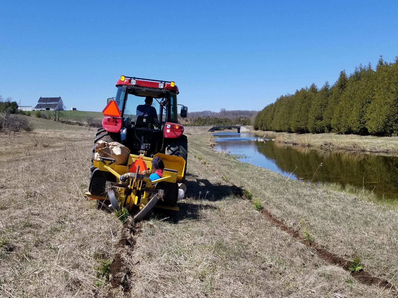 Tractor planting trees beside a river.