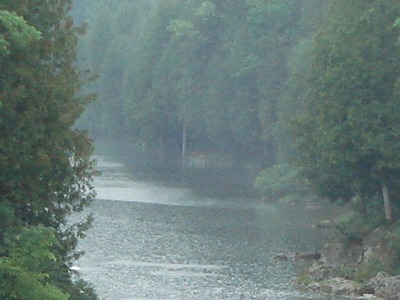 Saugeen River Fishing Photo