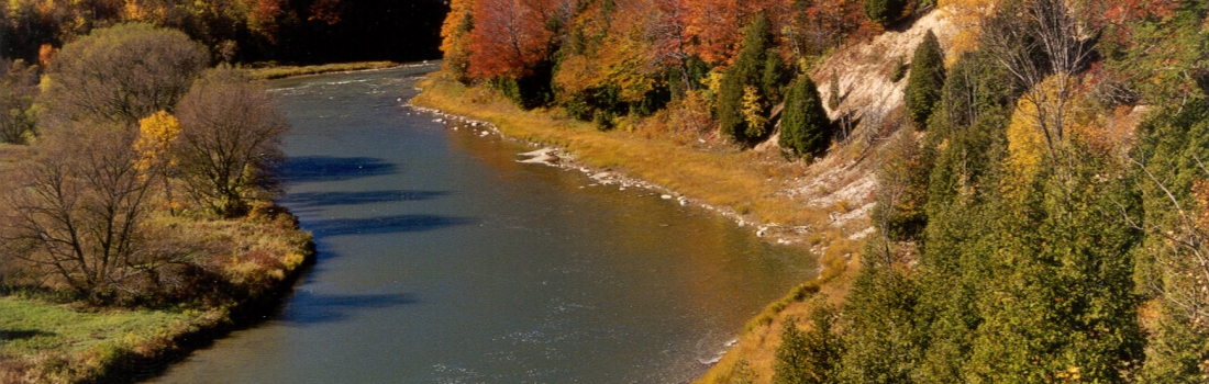 Saugeen River Photo by Saugeen Bluffs