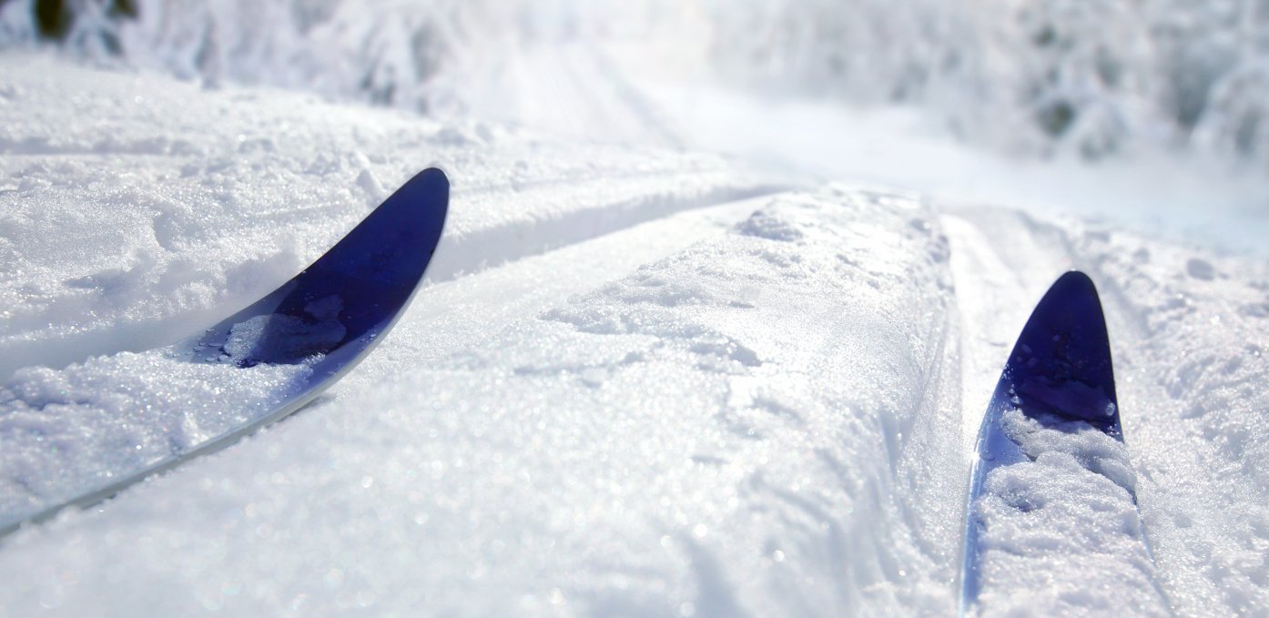 Cross-country skiing photo