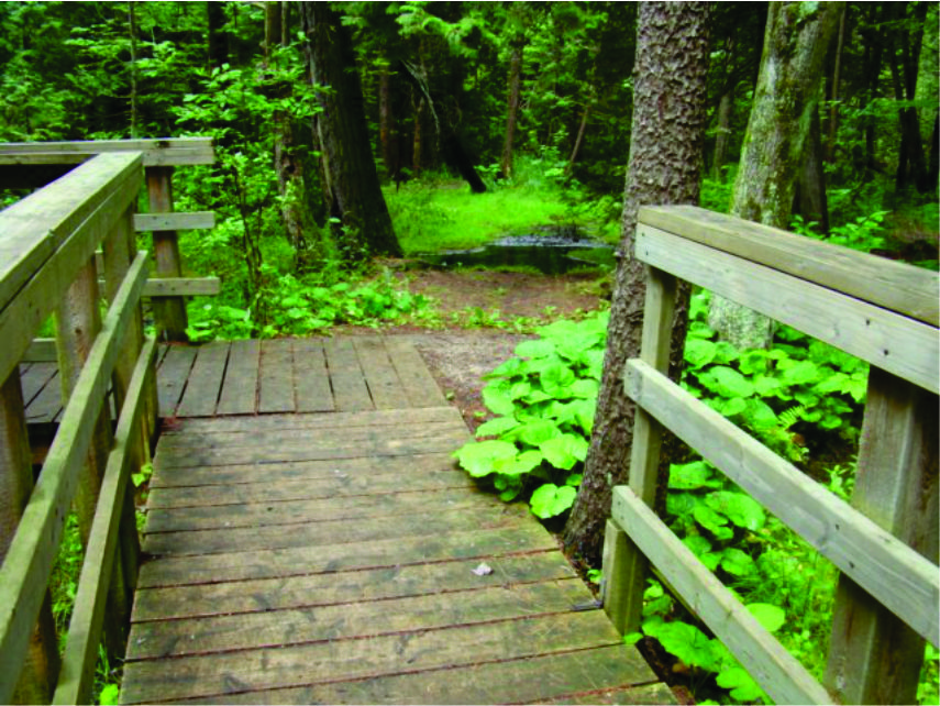 Sulphur Spring Trail Walkway Photo