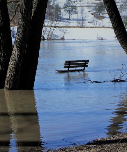 Bench in flooded area