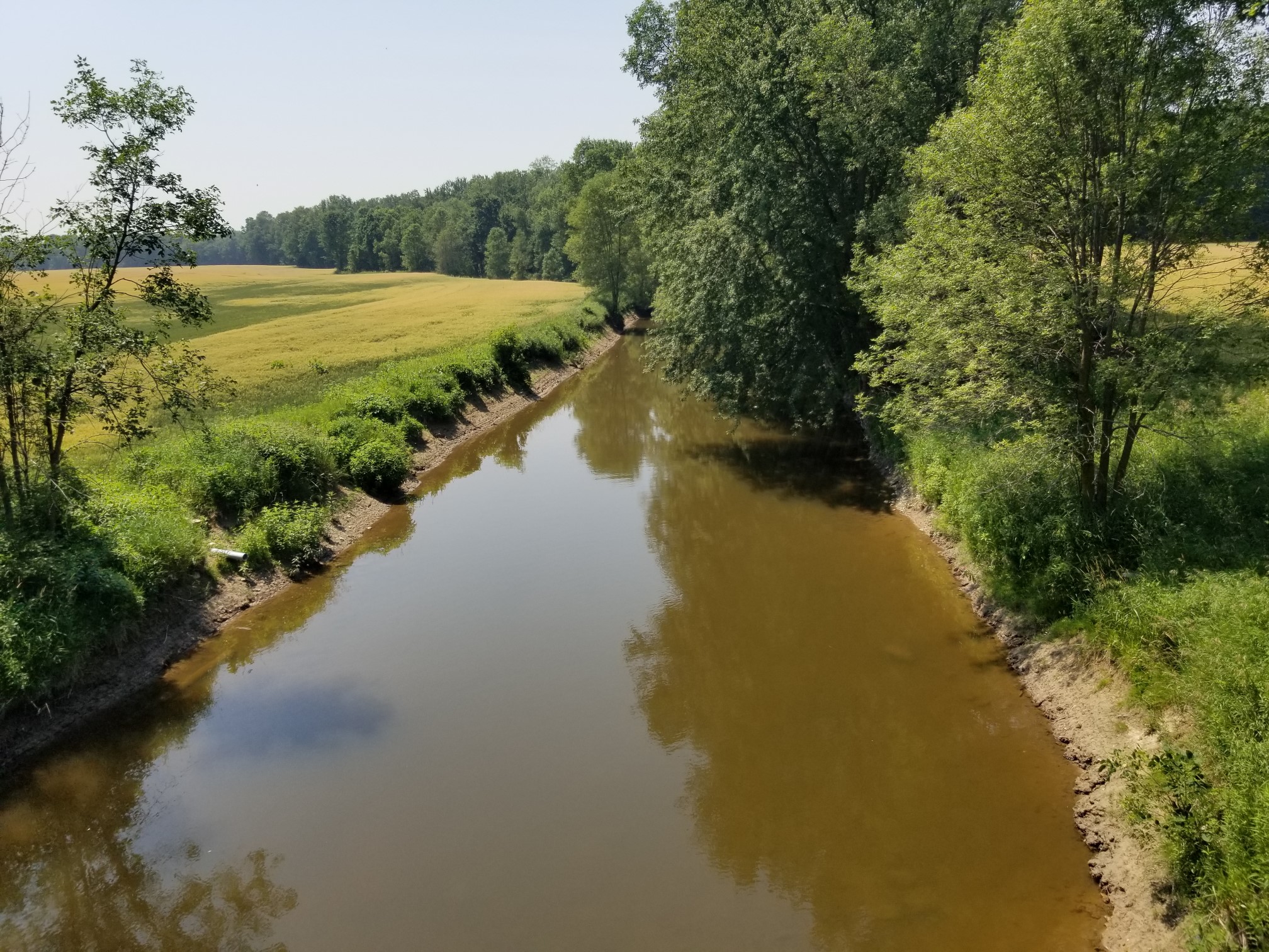 Low Water in Teeswater, Ontario