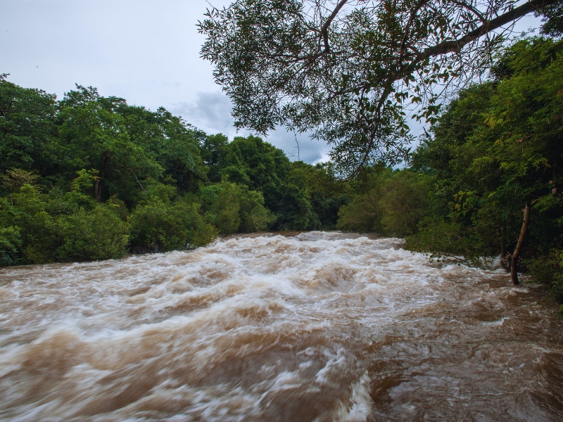 High water levels in a river