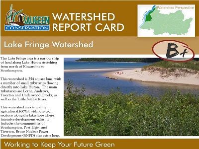 Lake Fringe Watershed Report Card