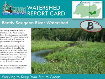 Beatty Saugeen Watershed Report Card Image