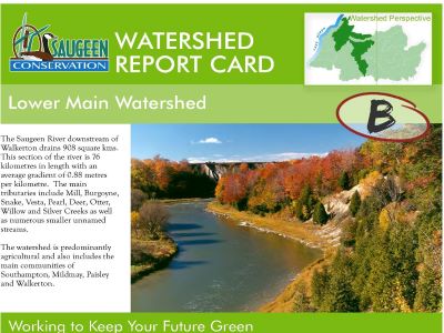 Watershed report card Lower Main