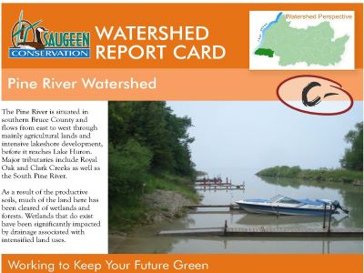 Pine River watershed report card