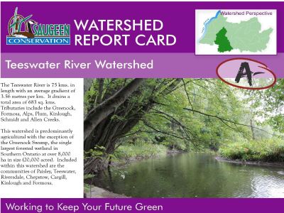 Teeswater River Watershed Report Card