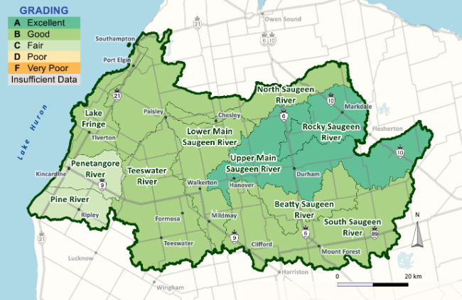 Overall grades range from A (Excellent) to C (Fair), with mostly (60%) B (Good) grades. Most overall grades have not changed from the 2018 report card, however the Beatty Saugeen River, Lake Fringe and Upper Main Saugeen River areas have improved. Phosphorus grades fell in the South Saugeen River and Lower Main Saugeen River.  Remaining grades stayed the same. E.coli grades remained mostly unchanged across the watershed, with improvement for the Penetangore River area. Benthic macroinvertebrate grades generally improved.