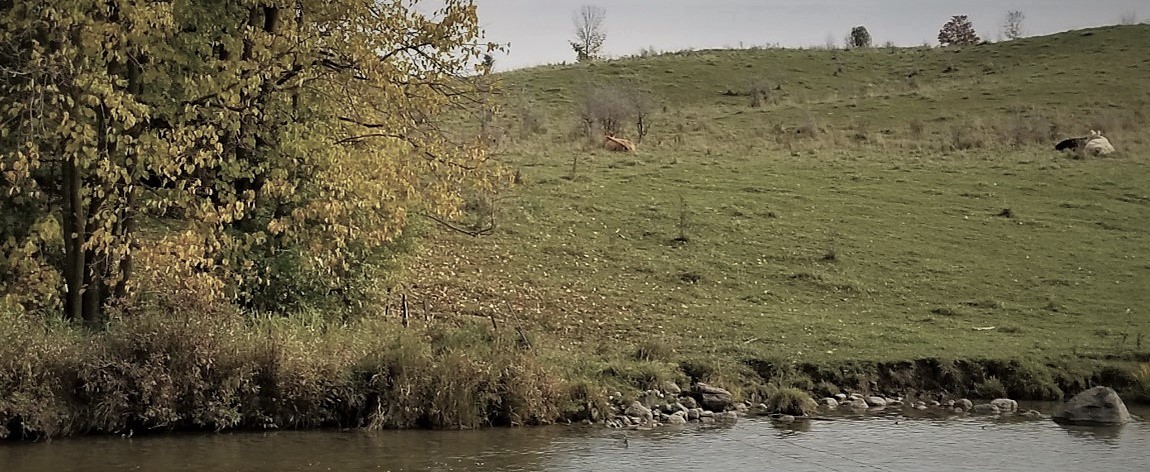 Rural Saugeen River