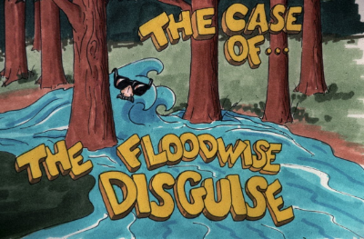 Floodwise Disguise picture