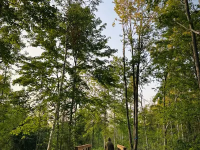 Man walking dog across bridge