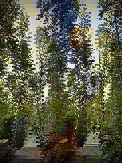 Man walking dog across bridge